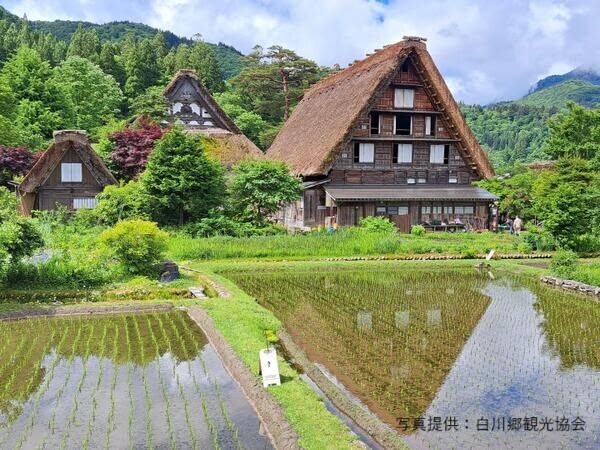 Shirakawago & Takayama Full Day Tour from Kanazawa - The first stop: Shirakawa-go’s thatched farmhouses