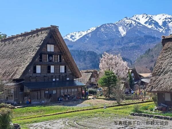 Shirakawago & Takayama Full Day Tour from Kanazawa - The guide can make the drive count