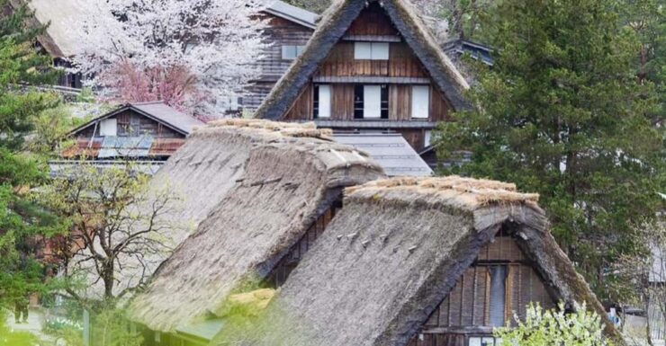 Shirakawago -Takayama One Day Tour - Good To Know