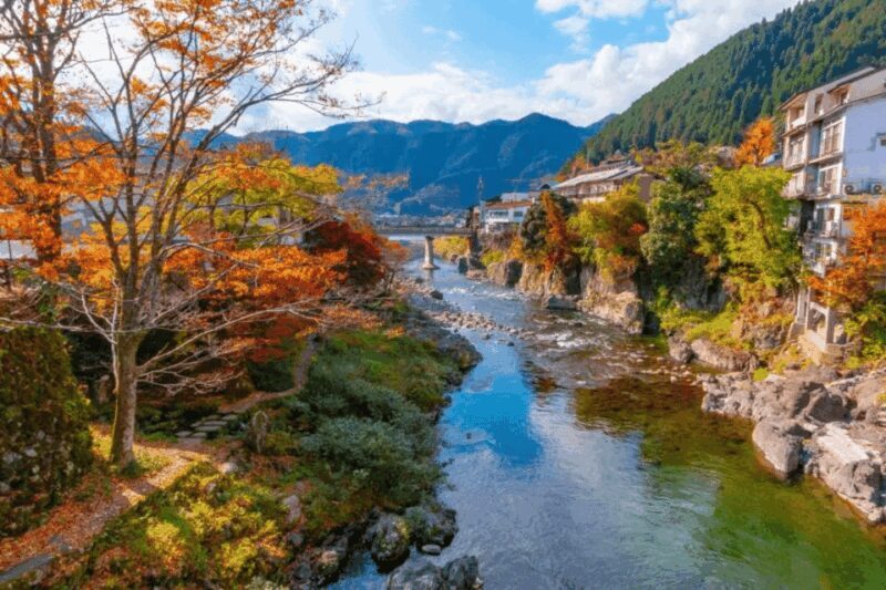 Shirakawago&HidaTakayama&GujoHachiman 1 Day Tour from Nagoya - What Reviewers Say: Authentic Insights