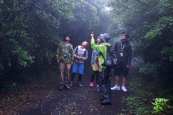 Shiratani-Unsuikyo Trekking Tour in Yakushima Island - Pricing and Guarantee