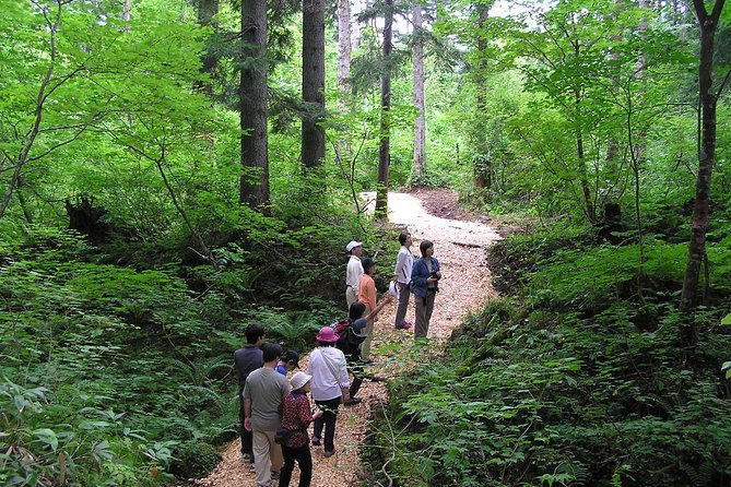 Shiratani-Unsuikyo Trekking Tour in Yakushima Island - Whats Included