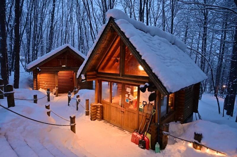 Shirogane Blue Pond & Ningle Terrace Dual Illumination & Dusk Christmas Tree & Shirahige Waterfall & Shikisai-no-Oka Winter Dual Illumination Day Tour - Key points before you book