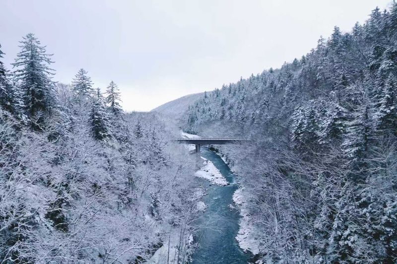 Shirogane Blue Pond & Ningle Terrace Dual Illumination & Dusk Christmas Tree & Shirahige Waterfall & Shikisai-no-Oka Winter Dual Illumination Day Tour - A guide, a driver, and a lot of road time
