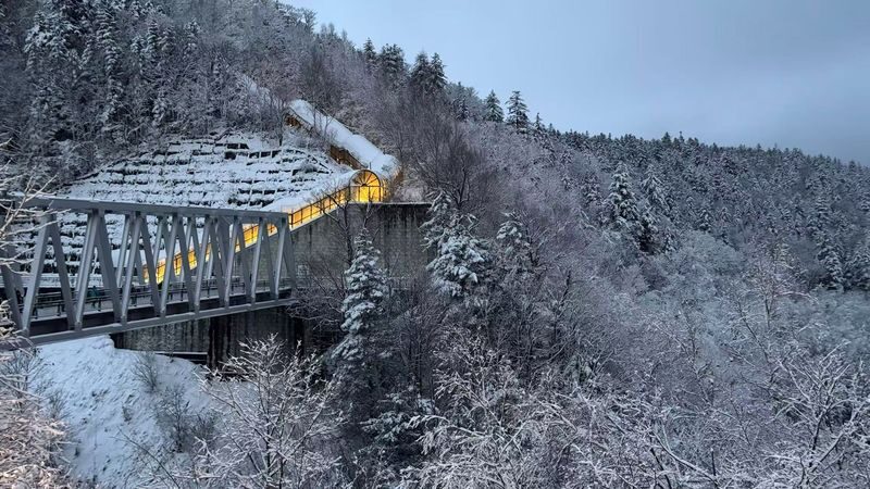 Shirogane Blue Pond & Ningle Terrace Dual Illumination & Dusk Christmas Tree & Shirahige Waterfall & Shikisai-no-Oka Winter Dual Illumination Day Tour - Is $56.85 good value?