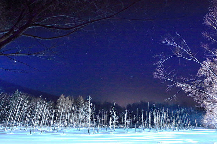 Shirogane Blue Pond & Ningle Terrace Dual Illumination & Dusk Christmas Tree & Shirahige Waterfall & Shikisai-no-Oka Winter Dual Illumination Day Tour - What to wear and bring