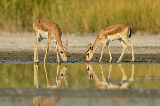 Shirvan National Park Tour - Cancellation Policy