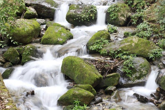 Shivapuri Day Hiking - Hiking Difficulty Level