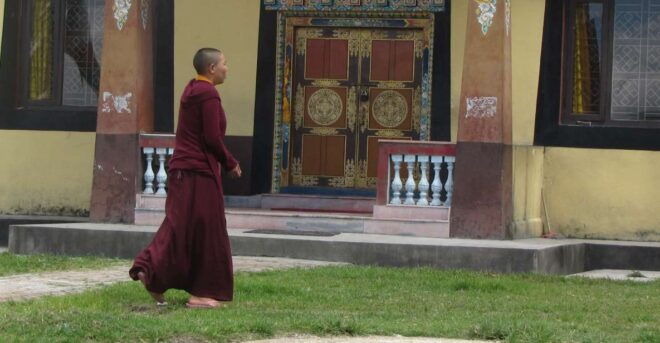 Shivapuri Hike : Lunch With Nuns - Highlights of the Activity