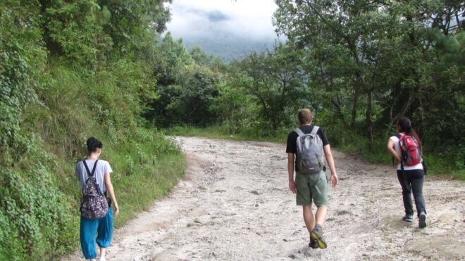 Shivapuri Hike : Lunch With Nuns - Activity Details