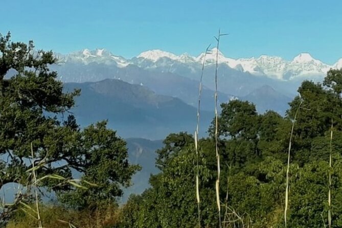 Shivapuri Hill Day Hike: A Scenic Trek Near Kathmandu - Highlights of the Trek