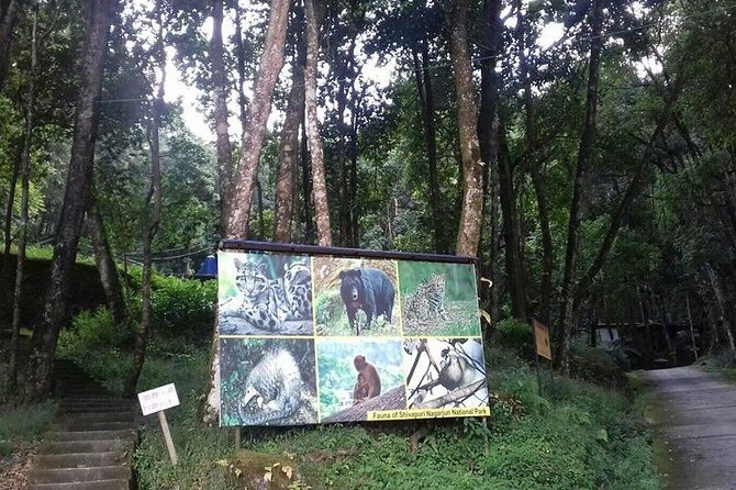 Shivapuri Hill Day Tour - Meeting and Pickup Details