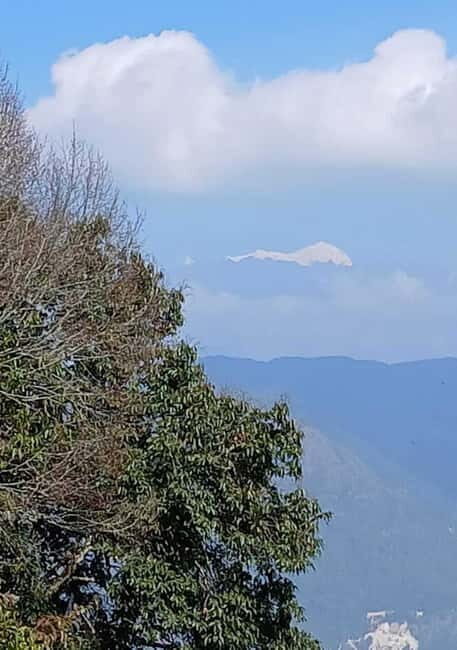 Shivapuri Nagarjun: Half-Day Hiking to Jamacho Gumba - Wrapping It Up