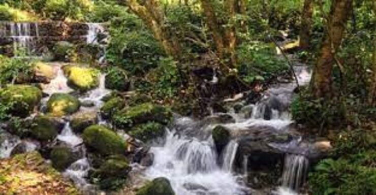 Shivapuri National Park Day Hiking From Kathmandu - Activity Details