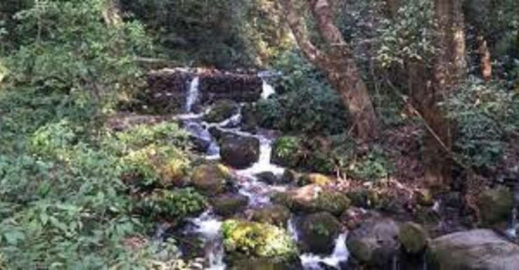 Shivapuri National Park Day Hiking From Kathmandu - Experience