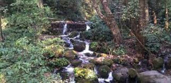 Shivapuri National Park Day Hiking From Kathmandu - Park Information