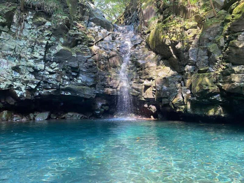 Shizuoka: Advanced Canyoning Activity near Mt. Fuji - The Itinerary and Experience Breakdown