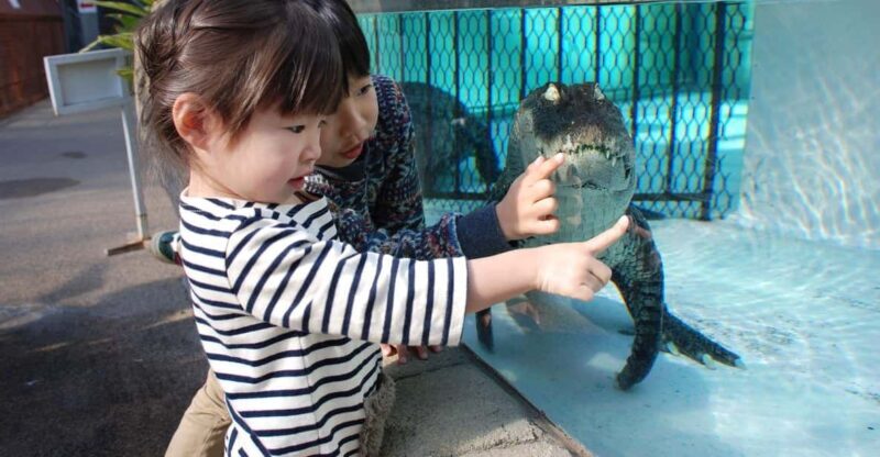 Shizuoka: Atagawa Tropical & Alligator Garden Entrance - Good To Know