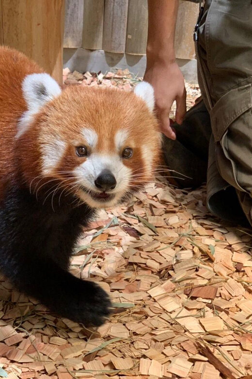 Shizuoka: Atagawa Tropical & Alligator Garden Entrance - Good To Know