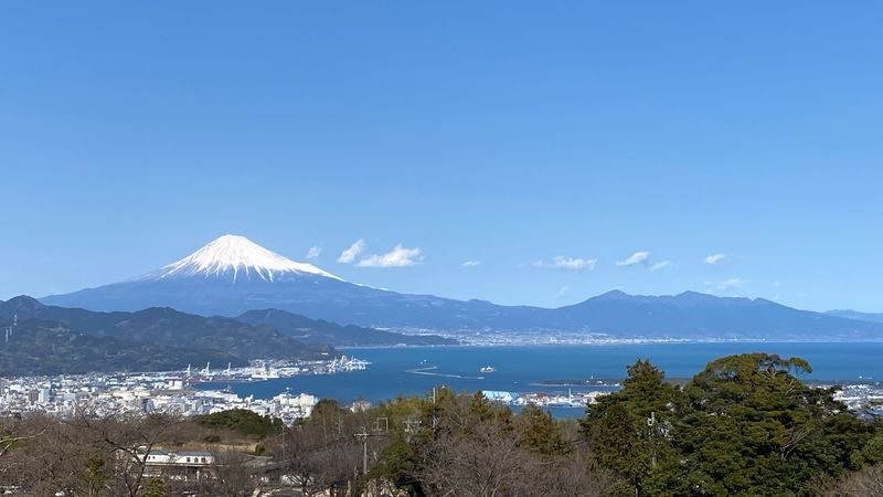 Shizuoka City Private Day Tour with Mt.Fuji Viewing and Ropeway - Walking among the pines at Miho no Matsubara