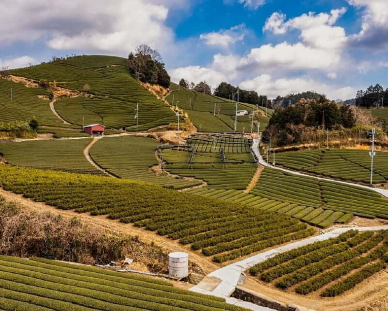 Shizuoka: Japanese Tea Tour with Tasting and Tea Making - Frequently Asked Questions