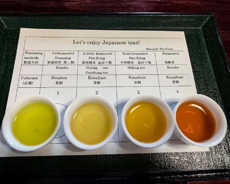 Shizuoka: Japanese Tea Tour with Tasting and Tea Making - Good To Know