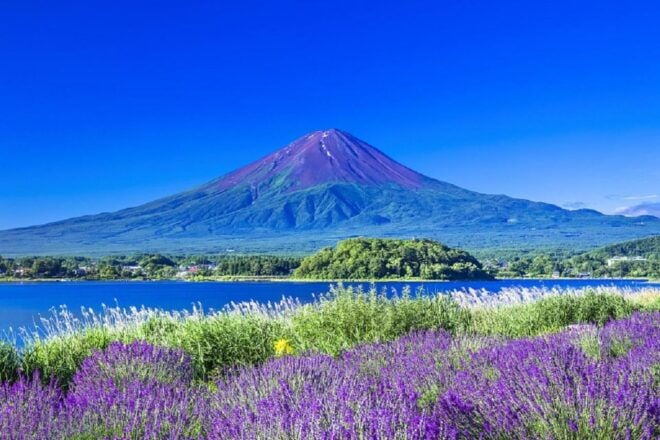 Shizuoka Marathon-Held on March 10th (42.195km) - Common Questions