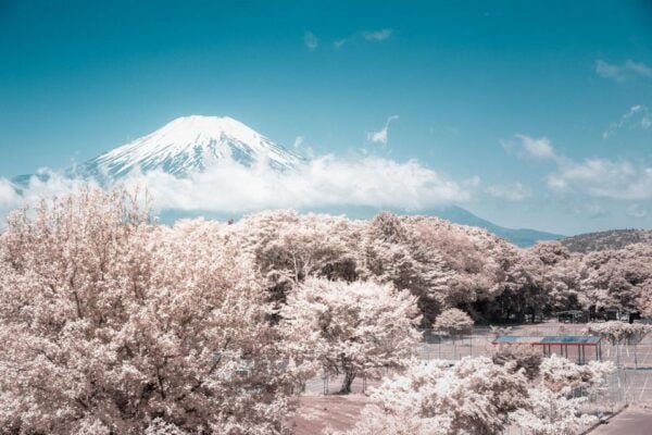 Shizuoka Marathon-Held on March 10th (42.195km) - The Sum Up