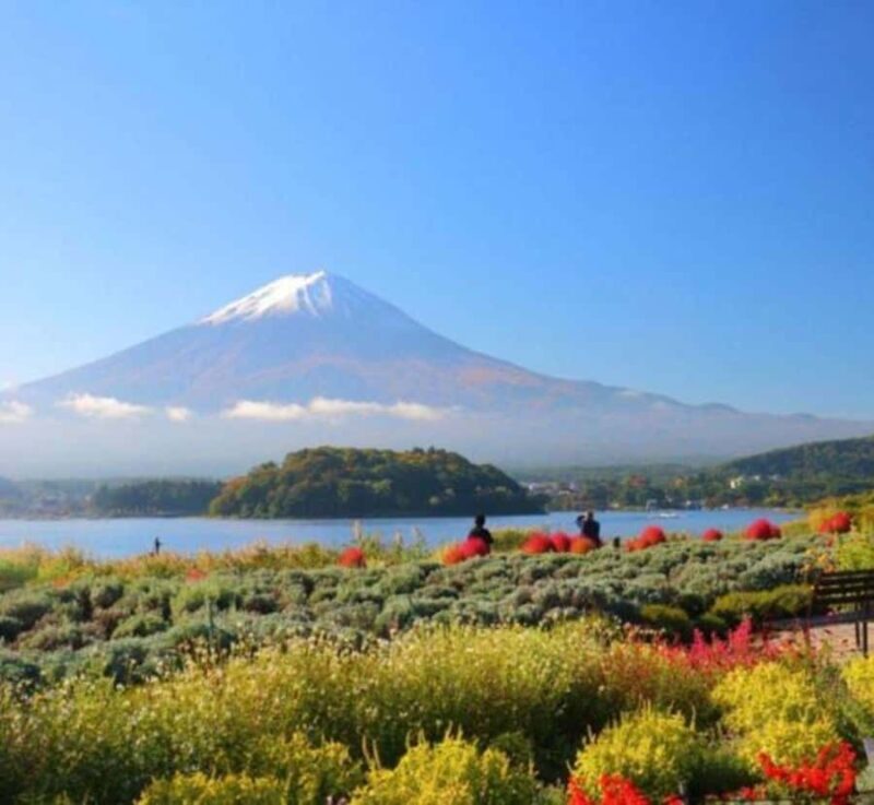 Shizuoka: Mount Fuji & Hakone Private Day Trip - Good To Know