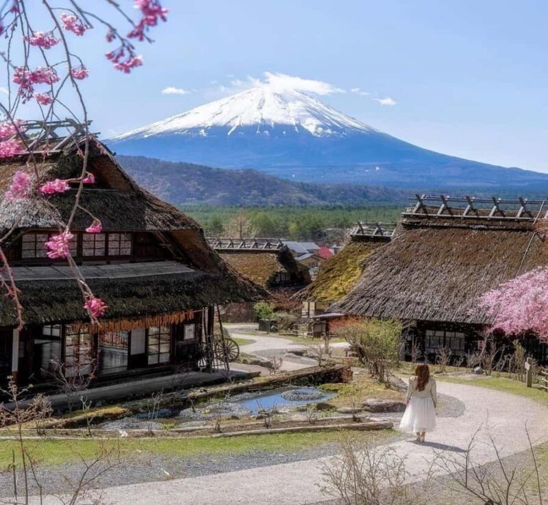 Shizuoka: Mount Fuji Private Full-Day customised Tour - Good To Know
