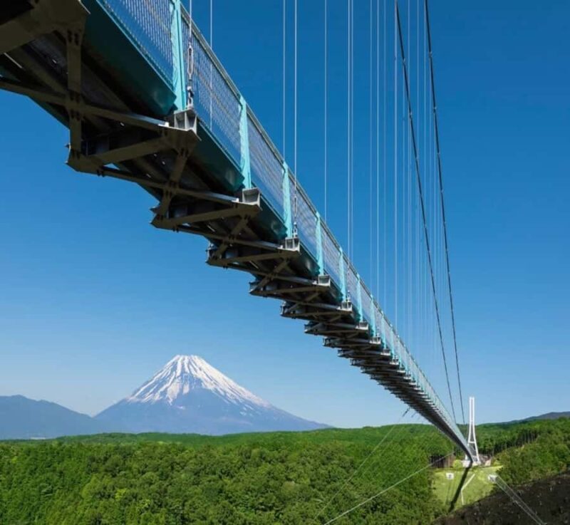 Shizuoka: Mount Fuji Private Full-Day customised Tour - The Sum Up