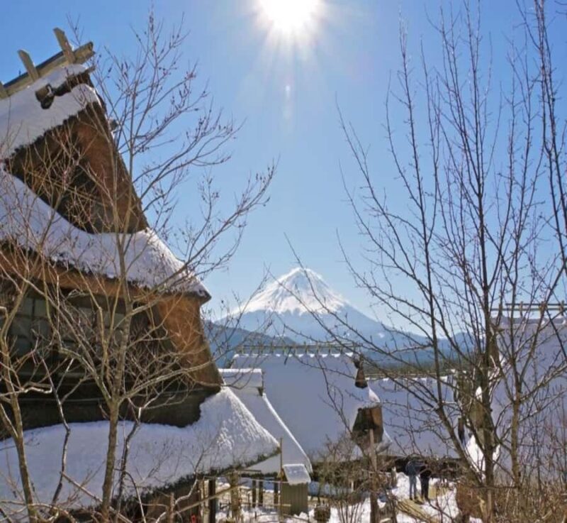 Shizuoka: Mount Fuji Private Full-Day Scenic Tour - Analyzing the Value and Who It’s Best For