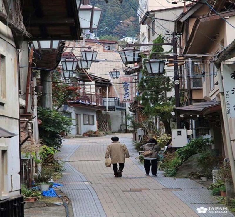 Shizuoka: Nagano private Tour with English speaking guide - Who Is This Tour Best For?