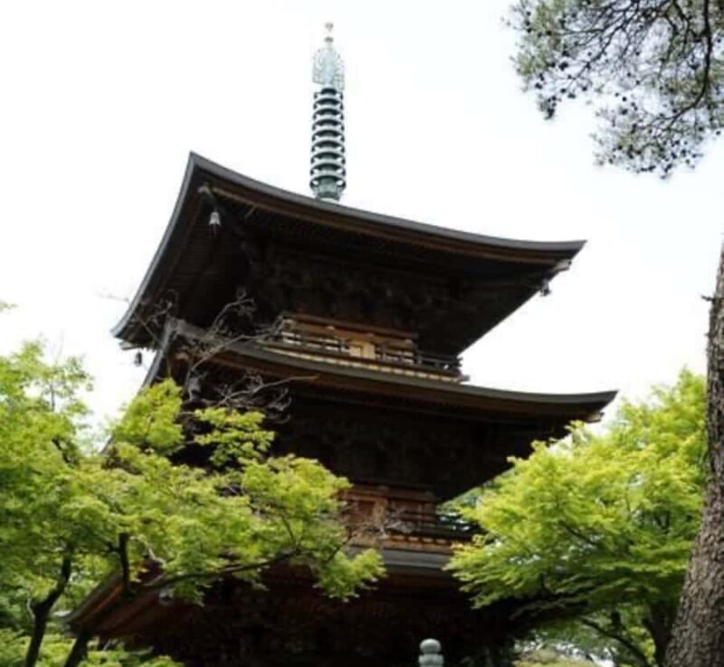 Shizuoka: Nagano private Tour with English speaking guide - FAQ