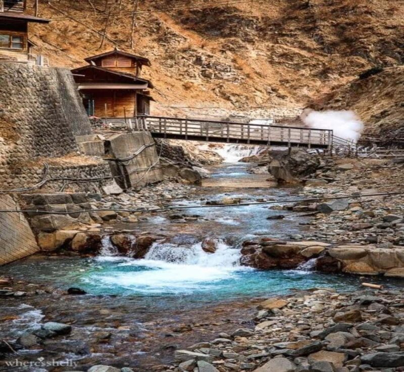 Shizuoka: Nagano Snow Monkey Park Private Day Trip - Frequently Asked Questions