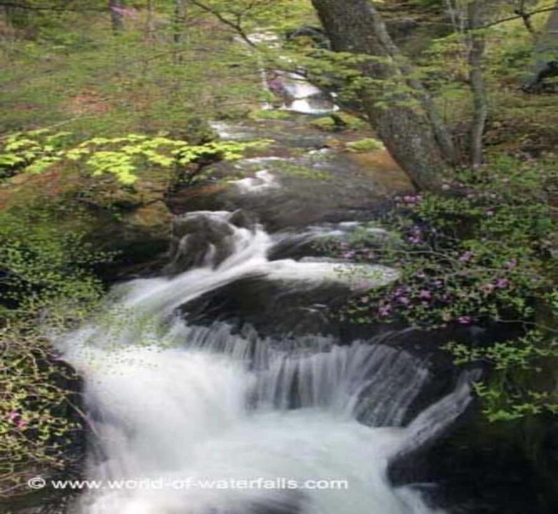 Shizuoka: Nikko Private Tour with Shrines and Waterfalls - Practicalities and Logistics