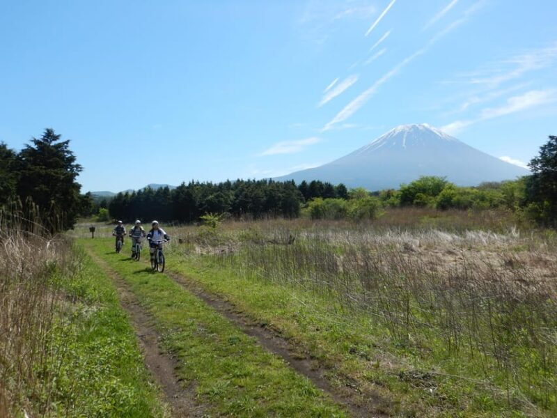 Shizuoka : Private Adventure E-bike Tour around Mt Fuji - Shizuoka: Private Adventure E-bike Tour around Mt. Fuji — A Detailed Review