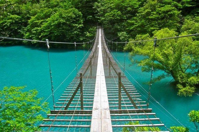 Shizuoka/Shimizu Mt Fuji View 6 Hr Private Tour: Guide Only - Traveler Reviews