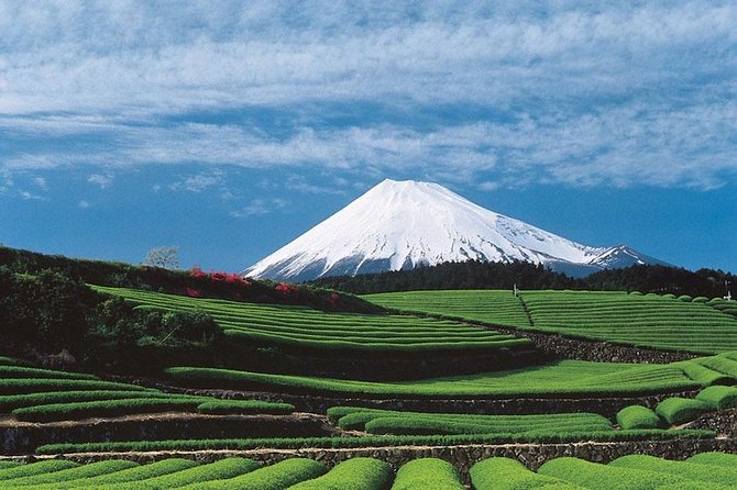 Shizuoka/Shimizu Mt Fuji View 6 Hr Private Tour: Guide Only - Customization Options