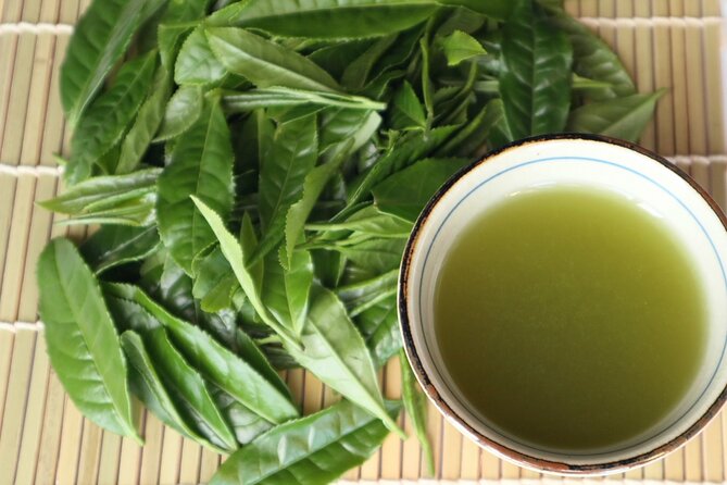 Shizuoka Tea Picking Private Experience - Cancellation Policy