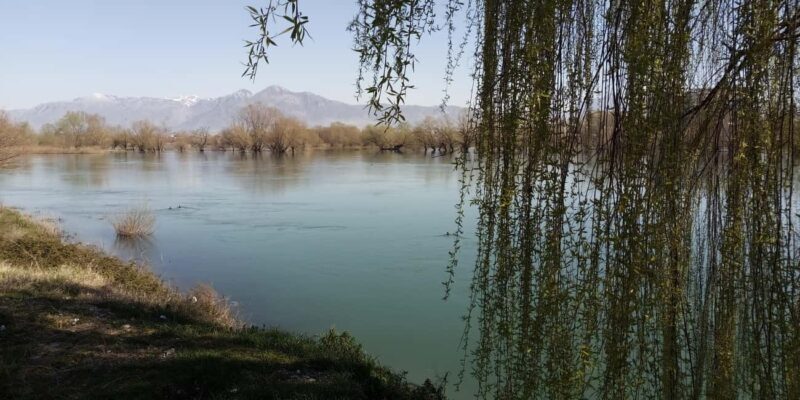 Shkodër Culinary & Wellness Experience Hidden Gems - In-Depth Breakdown of the Itinerary