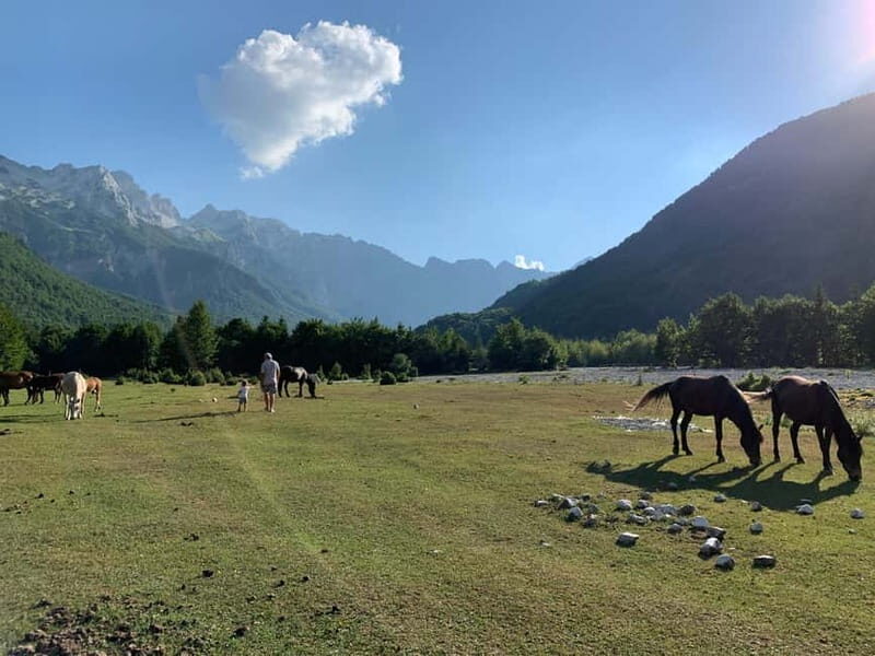 Shkoder: Transfers to Valbona/Theth/Shala River. Both ways. - Who Will Love This Tour?