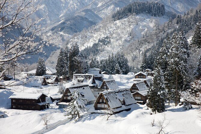 Sho Time Gokayama Private Car Custom Tour - Good To Know