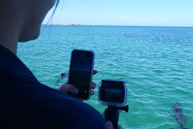 Shoalwater Islands Marine Park Cruise with Lunch - An In-Depth Look at the Shoalwater Islands Marine Park Cruise