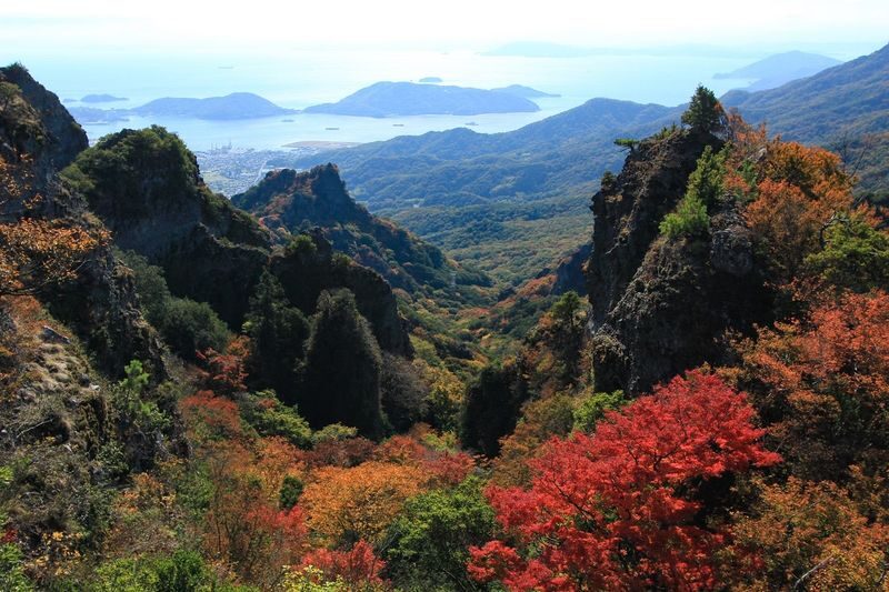 Shodoshima Island Full-Day Private Tour with Ropeway Ride - A guide who explains, not just directs