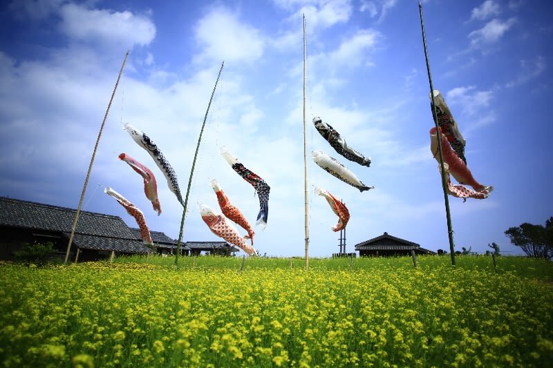 Shodoshima Island Tour Bus (Kagawa) - Twenty-Four Eyes Movie Village and a school by the sea
