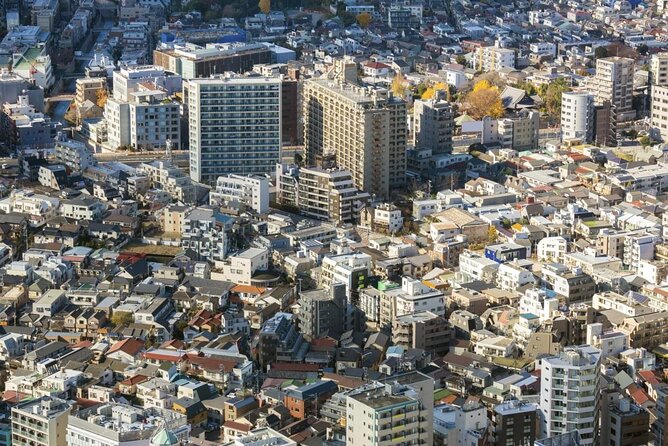 Shoppers Dream: Private Tokyo Shopping Tour in Luxury SUV - Customizable Itinerary for Your Shopping Needs