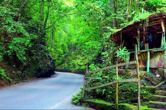 Shopping and Sightseeing Tour in Ocho Rios - An Overview of the Tour Experience