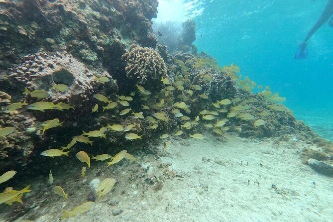 Shopping & Mexican Flavors with Transportation Included - Final Thoughts: Is This Tour Worth It?