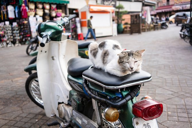 Shopping Tour in the Souks of Marrakech Medina - The Sum Up